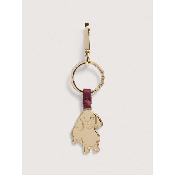 Coccinelle Basic Metal Ribes E2M9K41G402_R52