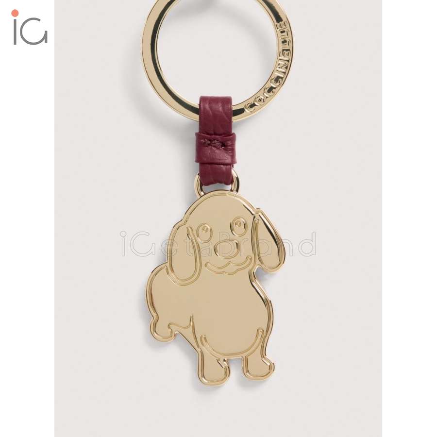 Coccinelle Basic Metal Ribes E2M9K41G402_R52