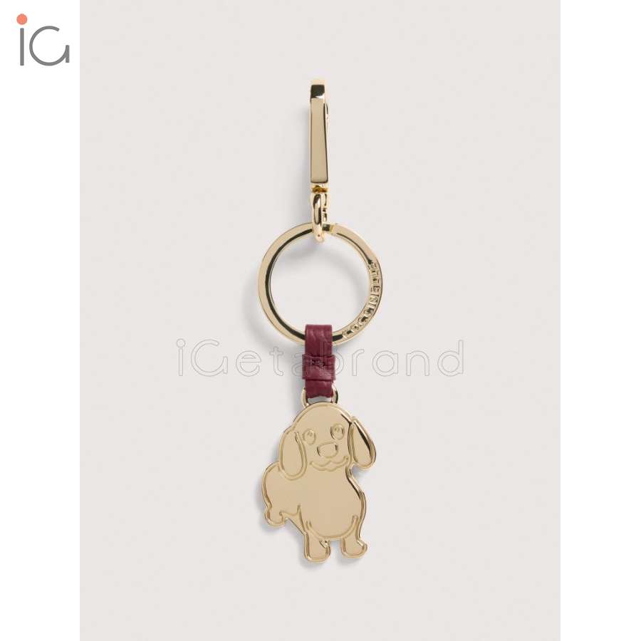 Coccinelle Basic Metal Ribes E2M9K41G402_R52